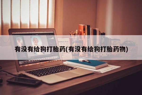 堕胎药购买有没有给狗打胎药(有没有给狗打胎药物)