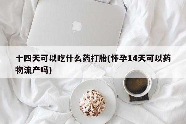 堕胎药购买十四天可以吃什么药打胎(怀孕14天可以药物流产吗)
